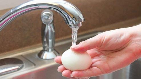 1398287 20292054 - بیکٹیریا سے بچنے کیلئے انڈہ پکانے سے پہلے ہرگز نہ دھوئیں