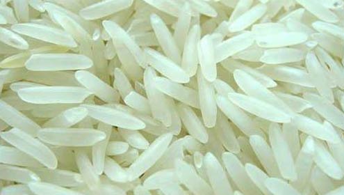 گوجرانوالہ:120 من فی ایکڑ پیداوار  والے چاول کی اقسام کی تجرباتی کاشت 