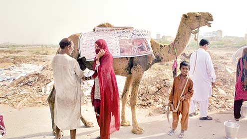 کورنگی ندی کے قریب اونٹنی کے دودھ کی فروخت 