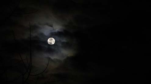 رات کی تاریکی سے انسان خوفزدہ کیوں ؟دلچسپ تحقیق