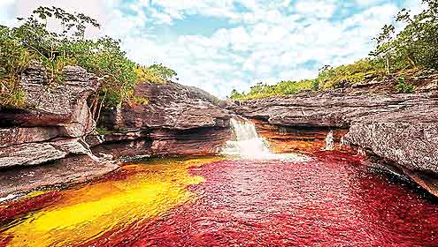 دریائے کانو کرسٹلیز، کولمبیا