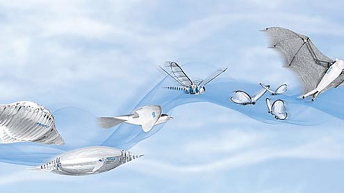  پرواز کرنیوالی روبوٹ چمگادڑ