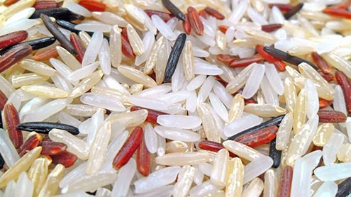  ایڈز کا علاج کرنیوالے چاول تیار