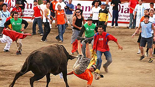 غصیلے بیل نے نوجوان کی درگت بنا ڈالی