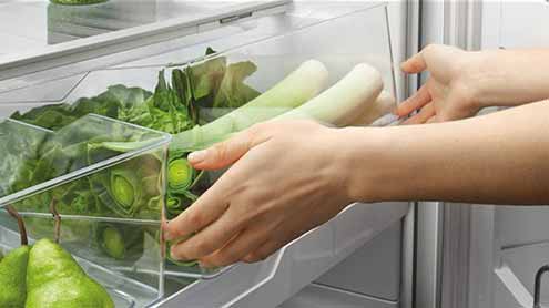   فریج میں رکھی سبزیاں استعمال  کرنے سے موت ہوسکتی ہے 