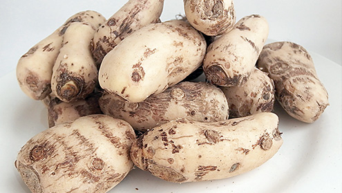  اروی ذیابیطس سے لڑنے اور کولیسٹرول کم کرنے میں مددگار 