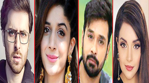 پنگانہ لو پاکستانی فنکار بھارتی دراندازی کیخلاف پاک فوج  کے شانہ بشانہ