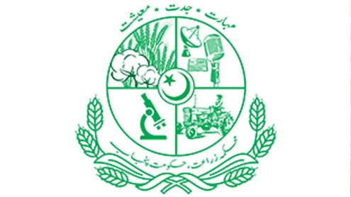 محکمہ زراعت پنجاب نے سورج  مکھی کی کاشت کا شیڈول جاری کردیا