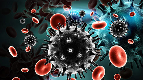 چوہے میں انسانی ایچ آئی وی کو ختم کرنے کا کامیاب تجربہ