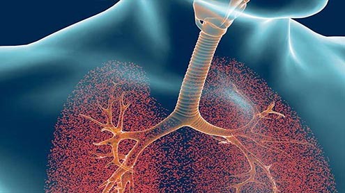 انسانی پھیپھڑوں میں چربی جمع ہونے کے ثبوت دریافت