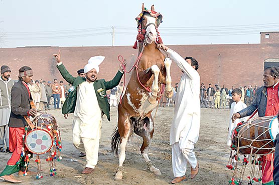 گھڑ ڈانس میلے کا انعقاد، 50سے زائد گھوڑوں کی شرکت 