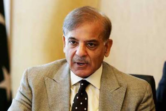 حکومت دو دھاری تلوار سے معیشت کی شہ رگ کاٹ رہی ہے : شہباز شریف