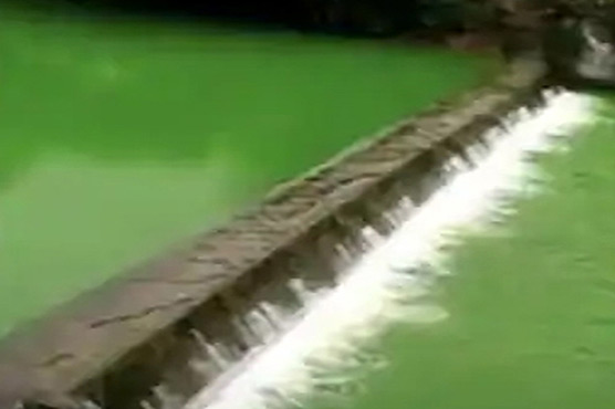 دریا یماؤ کا پانی راتوں رات سبز رنگ میں تبدیل ہوگیا