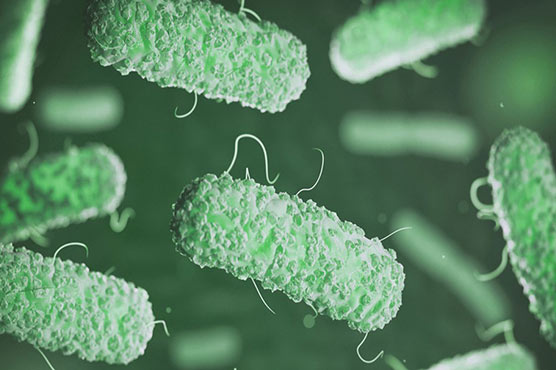 1.5 وولٹ بجلی سے سخت جان جراثیم کا خاتمہ ممکن ہوگیا