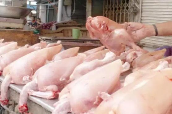 چکن ایک بار پھر 10 روپے کلومہنگا،قیمت 316 گئی