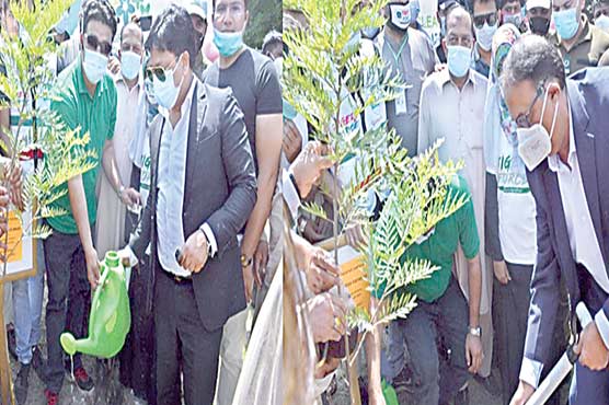  کلین اینڈ گرین مہم : ضلع گوجرانوالہ  کیلئے 25 لا کھ پودوں کا ہدف مقرر 