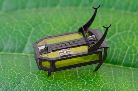 چاول کے تین دانوں جتنا وزنی، دنیا کا سب سے چھوٹا روبوٹ