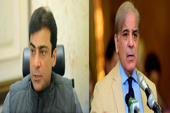 ایک شیر ،تین شکار :مہنگائی ، نا اہلی، لو ٹ مار :شہباز