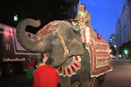 بھارت:غصیلے ہاتھی نے شادی  کی تقریب تہس نہس کردی دولہا بھاگنے پر مجبور