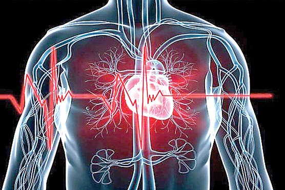 ایشیا ، دل کی بیماریاں وبا کی طرح پھیل رہی ہیں:تحقیق