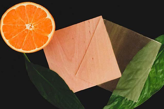 سویڈن:نارنجی کے چھلکے سے شفاف لکڑی تیار کر لی گئی