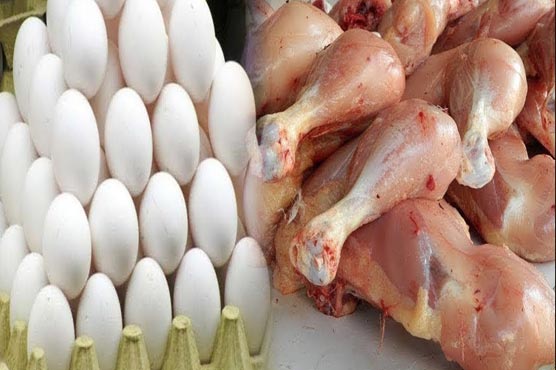 چکن اورانڈوں کی قیمتوں کے تعین  کے طریقہ کار بارے رپورٹ طلب 