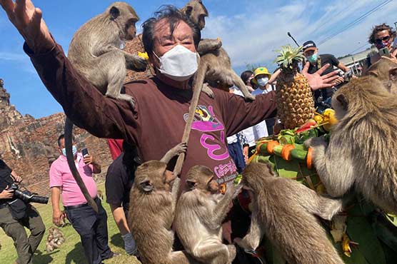تھائی لینڈ میں بندروں کی روایتی سالانہ ضیافت کا اہتمام