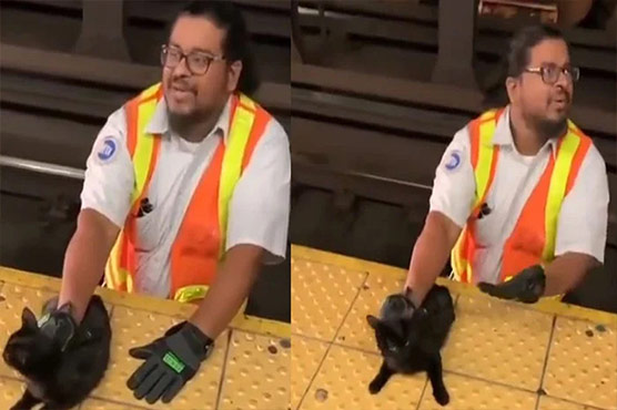 ریلوے ملازم نے بلی کو ٹرین کی زد میں آنے سے بچا لیا