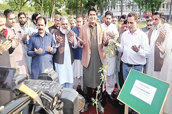 پاک سیکرٹریٹ میں شجر کاری مہم کا آغاز: اسلام آباد میں انگور گلی بنائی جائے گی، علی نواز اعوان