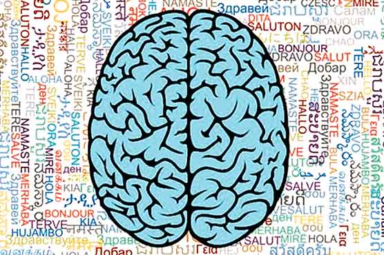 دماغ مضبوط رکھنا ہے تو دو زبانین سیکھئے :کینیڈین تحقیق