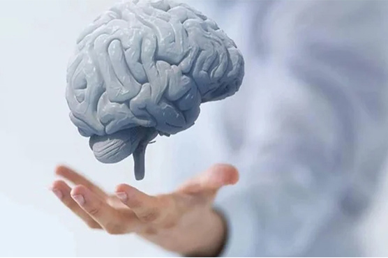 دماغی افعال بہتر بنا کر ذہنی تنزلی سے بچانے والی عادات 