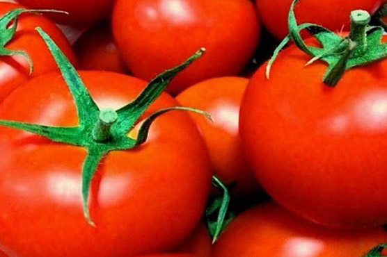 پہلا جینیاتی تبدیل شدہ ٹماٹر، قیمت 11ہزار روپے فی کلو