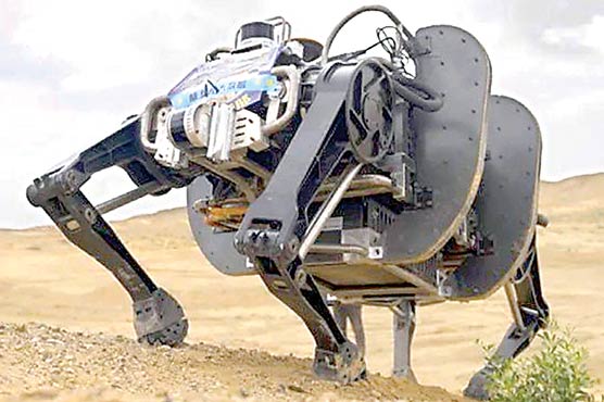 چین میں دنیا کا سب سے بڑا ’’روبوٹ بیل‘‘ تیار