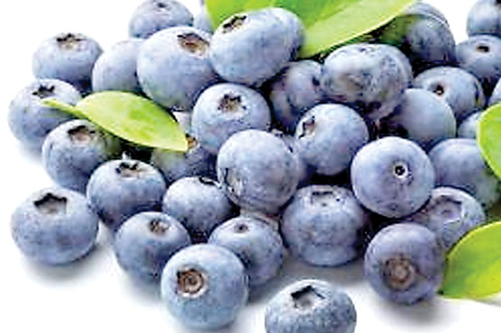 بلیو بیریز دل اور دماغ کی بیماریوں سے بچانے میں مددگار  