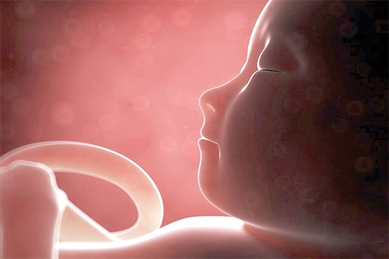 ماں کی بول چال نوزائیدہ بچے کی نشوونما پر اثرانداز ہوتی ہے