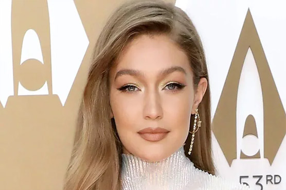 جی جی حدید نے اسرائیل مخالف پوسٹ پر معذرت کرلی 