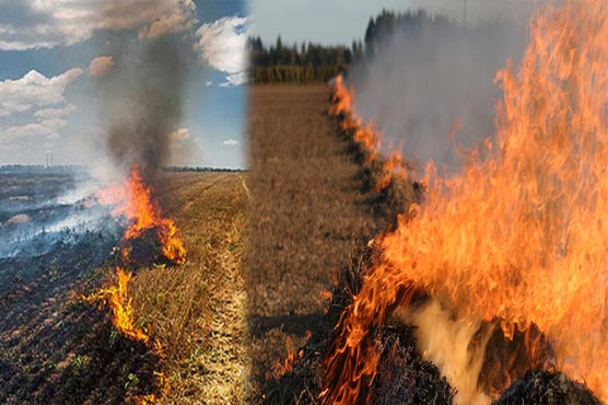 موٹروے کے اطراف فصلوں کی باقیات جلانے کا سلسلہ جاری