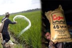 بھوانہ:یوریا کھاد کا بحران سر اٹھانے لگا ،کسان پریشان 