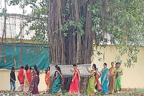  بھارت میں ‘‘بزرگ درختوں’’ کو بھی پنشن ملے گی 