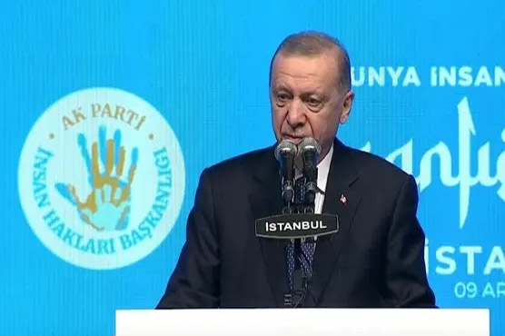 عالمی ادارہ اسرائیل کی پروٹیکشن  کونسل بن چکا:ترک صدر