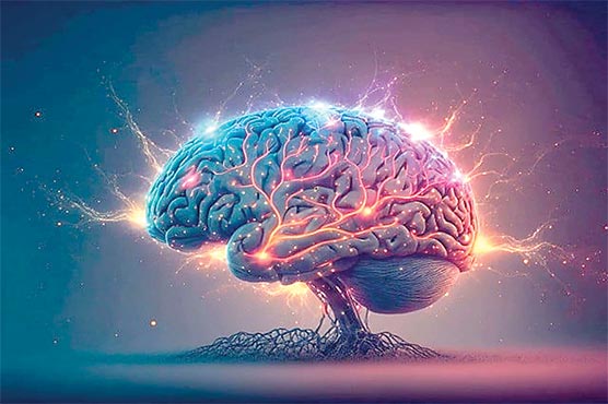 دماغ دنیا میں سب سے پہلے کس جاندار میں وجود میں آیا