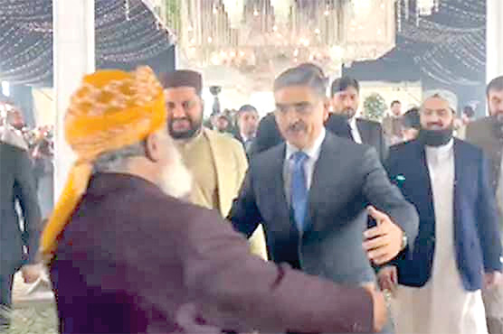 مولانا فضل الرحمن کے بیٹے کی  دعوت ولیمہ ،نگران وزیراعظم  زرداری اوردیگر کی شرکت 