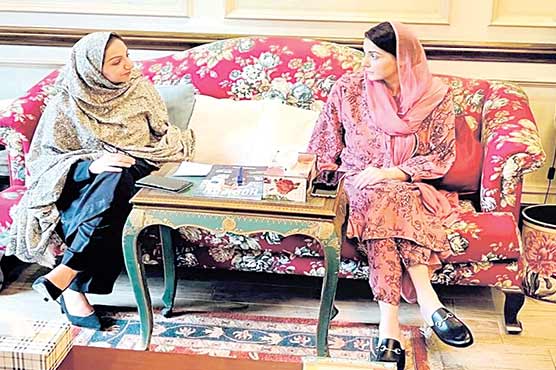 مریم نواز سے سابق وفاقی وزیر  سائرہ افضل تارڑ کی ملاقات
