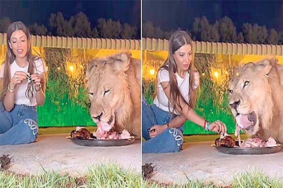 شیر کیساتھ کھانا کھانے والی خاتون کو دیکھ کر لوگ حیران