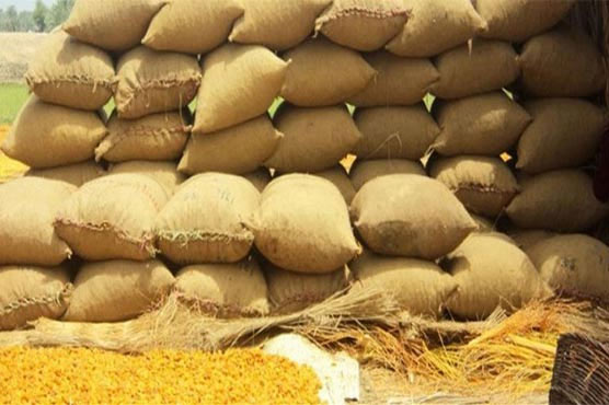 محکمہ خوراک گندم خریداری اہداف مکمل نہ کرسکا