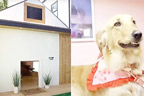 مالک نے کتے کی سالگرہ پر اُس کیلئے57لاکھ کا گھر بنوادیا 
