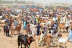 اتوار کو تعطیل پر شہریوں کا مویشی منڈی میں رش 