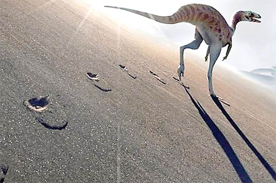برازیل ،قدموں کے نشان سے ڈائناسور کی نئی نسل دریافت