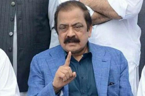 نوازشریف استقبال کے بعد عدالت میں سرنڈر کر ینگے :رانا ثنا 