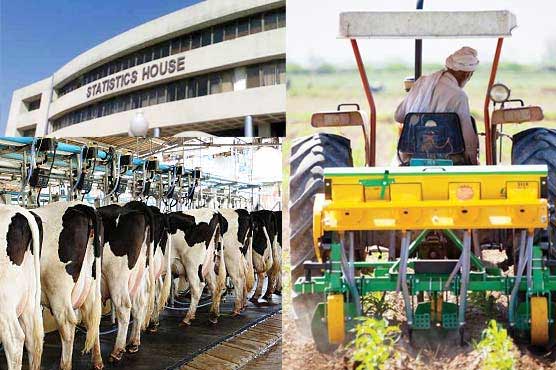 لائیو اسٹاک، زراعت اور زرعی مشینری کے اعداد و شمار اکٹھے کرنے کا فیصلہ